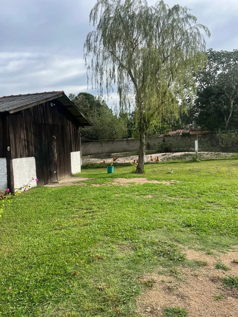 Imagem Sítio em Parque Florestal Itapuã