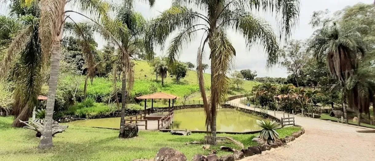 Foto do imóvel Vendo excelente fazenda localizada no município de Itaúna/MG, com área total de 94 hectares