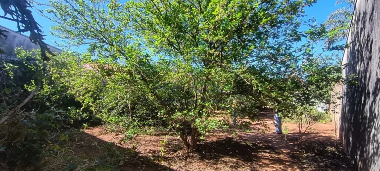 Imagem Terreno Padrão