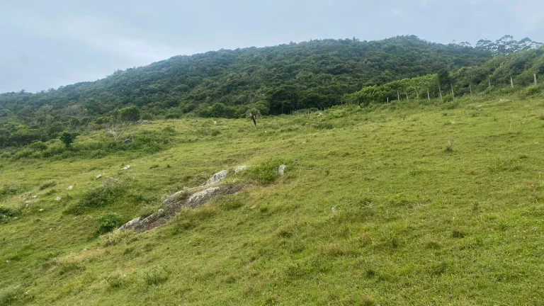 Imagem Terreno à venda na Praia da Silveira, Garopaba-SC: 1.550m² de oportunidade imperdível!