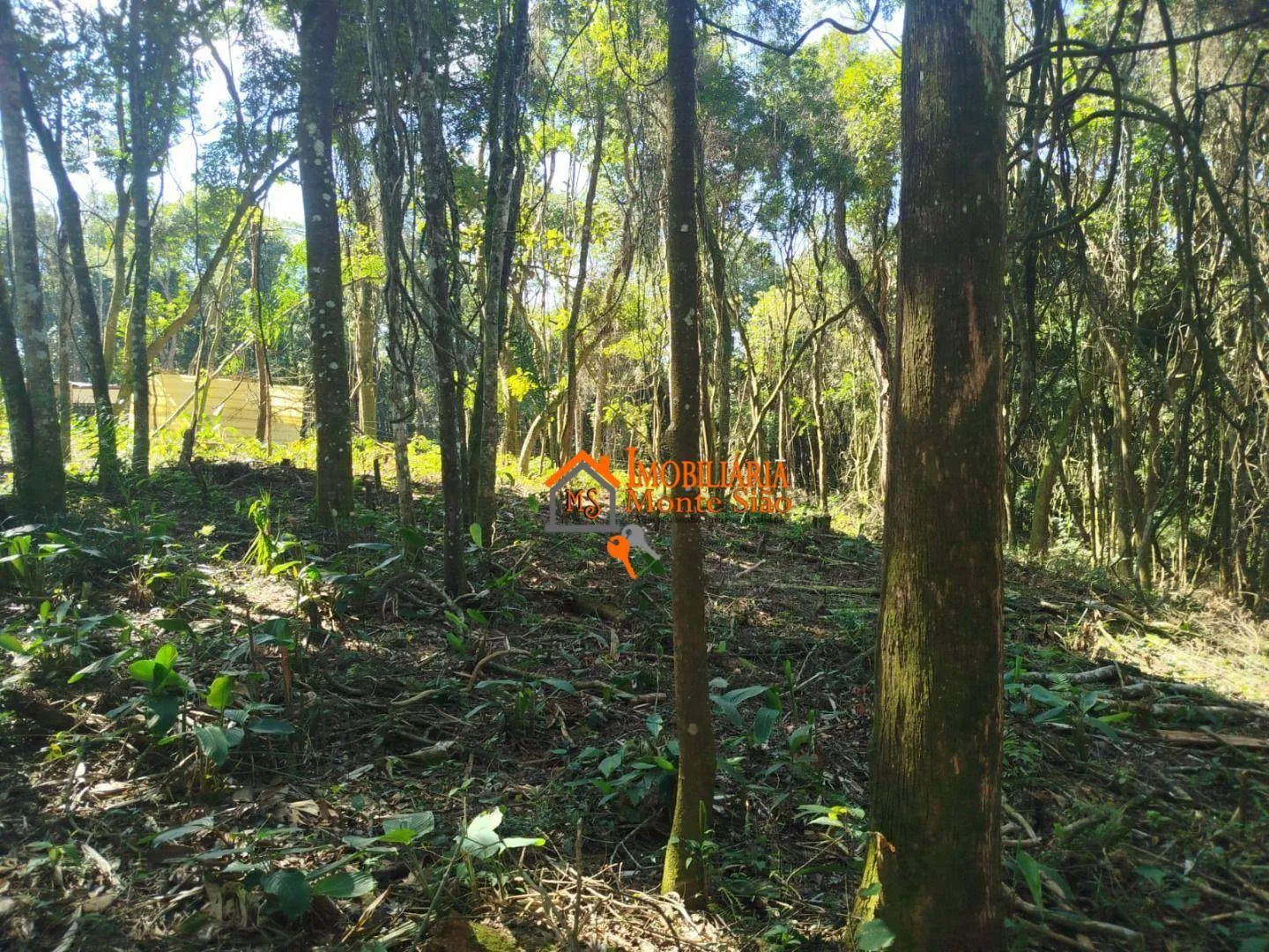 Imagem Terreno à venda, 3.068m² por R$ 212.000 - Parque Santos Dumont - Guarulhos/SP