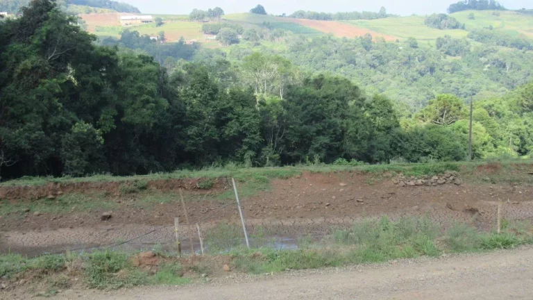 Imagem Área Agrícola para Venda em Peritiba, Lageado Mirim