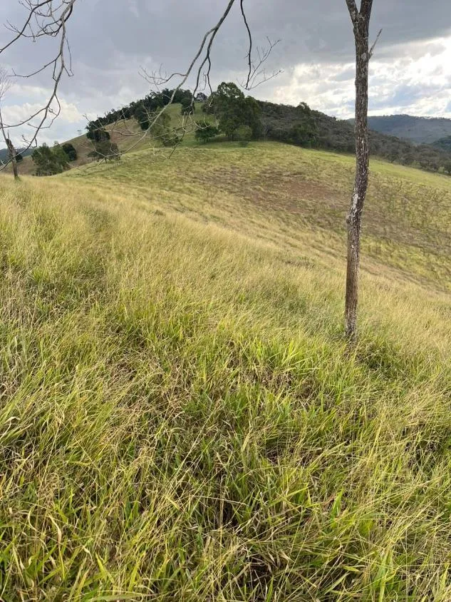 Imagem Terreno à Venda em São Domingos do Prata/MG com 25,5 hectares de terra
