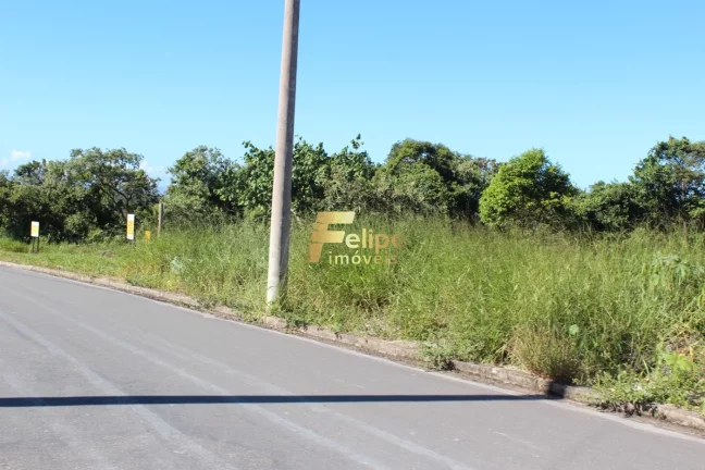 Imagem TERRENO AMPLO E LINEAR EM UBÚ!