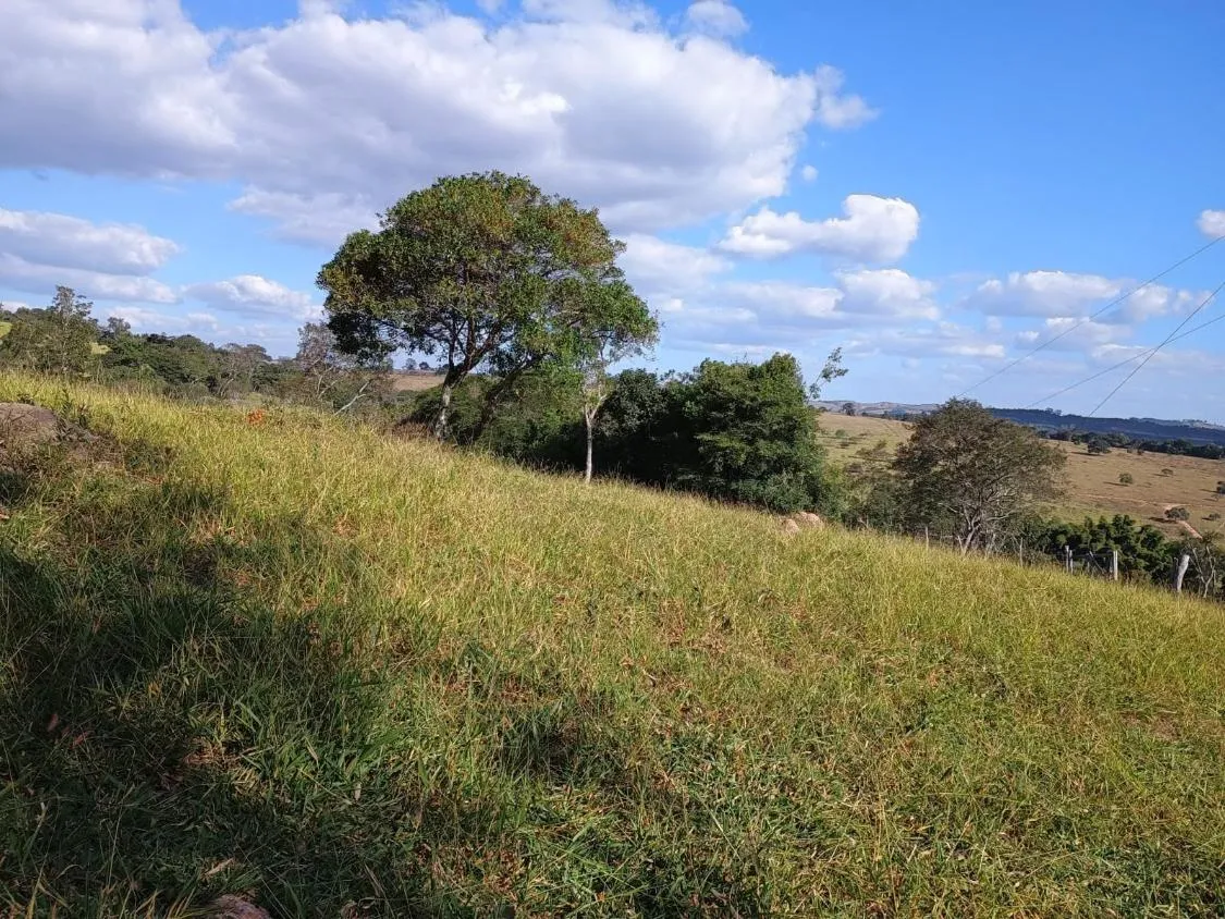 Imagem Excelente Terreno à Venda em Oliveira/MG: 34 Hectares com Boa Disponibilidade de Água
