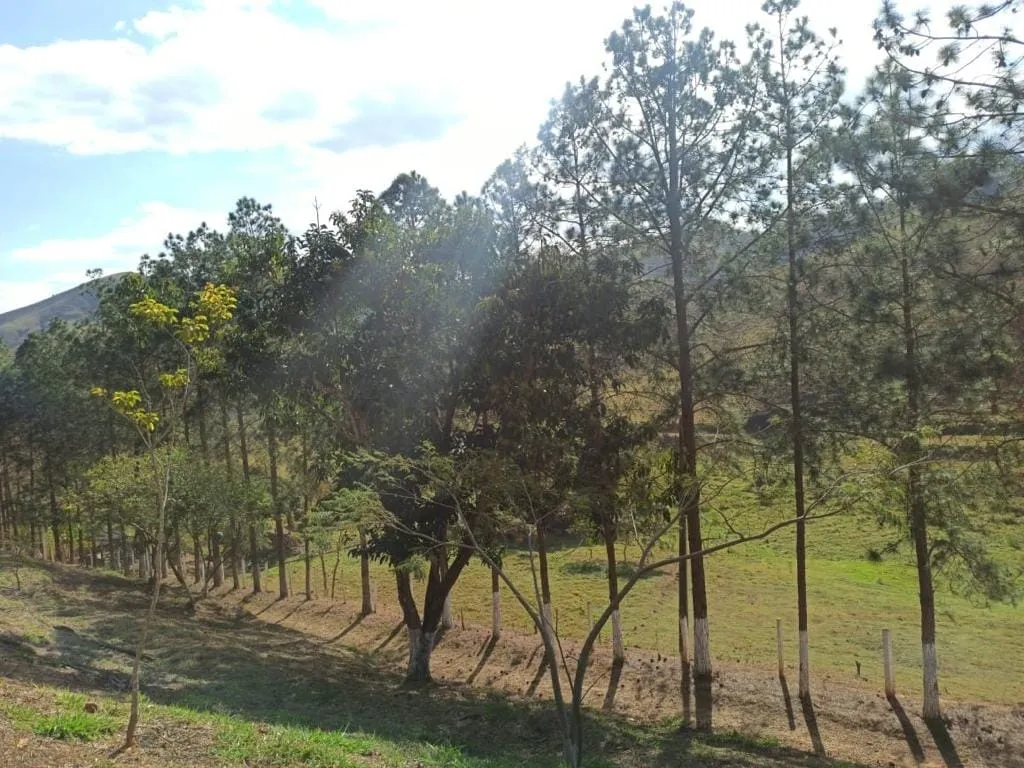 Imagem Chácara à venda 3 Quartos, 1 Suite, 108000M², Zona Rural, São José dos Campos - SP