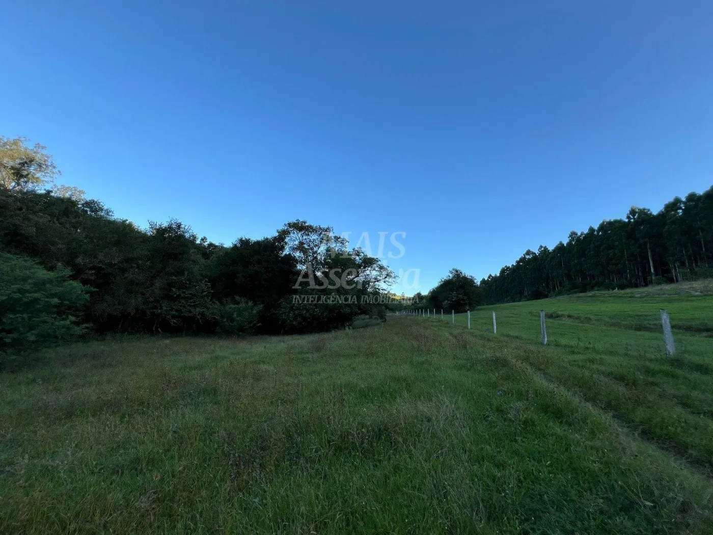 Imagem Chácara de 10 hectares para venda em Lomba Grande, Novo Hamburgo
