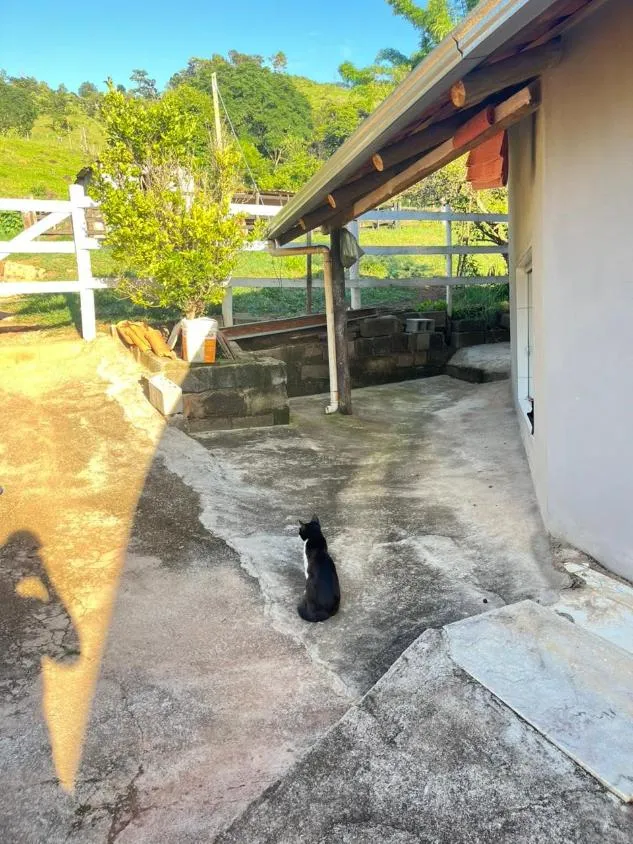 Imagem Vendo um excelente sítio em Crucilândia/MG , área total de 3 hectares (30.000 m²)