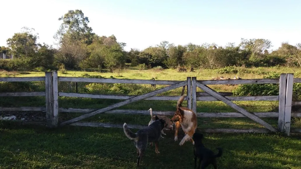 Imagem Sítio em Pedreira