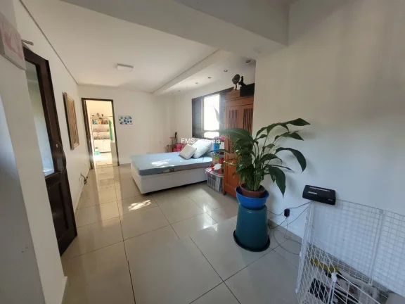 Imagem Casa Comercial de Luxo no Butantã, São Paulo-SP: 6 Quartos, 3 Salas, 7 Vagas de Garagem - 450,00m² de Área