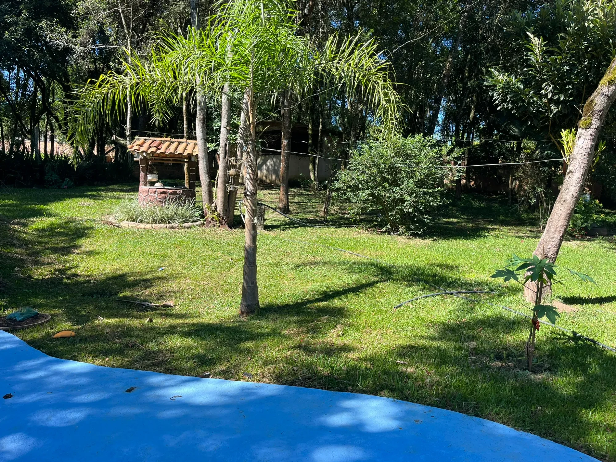 Imagem Chácara com 3 Quartos à Venda, 8000 m² em Campina do Taquaral - São José dos Pinhais