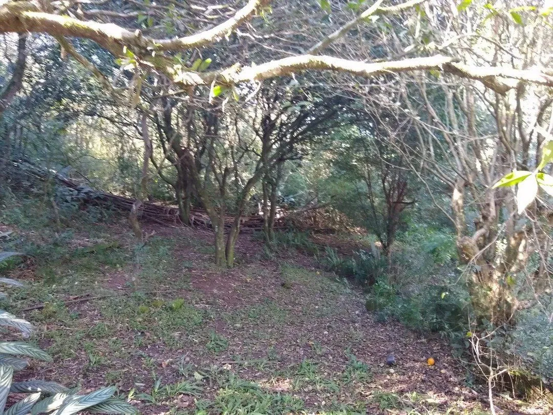 Imagem Terreno em Cascata