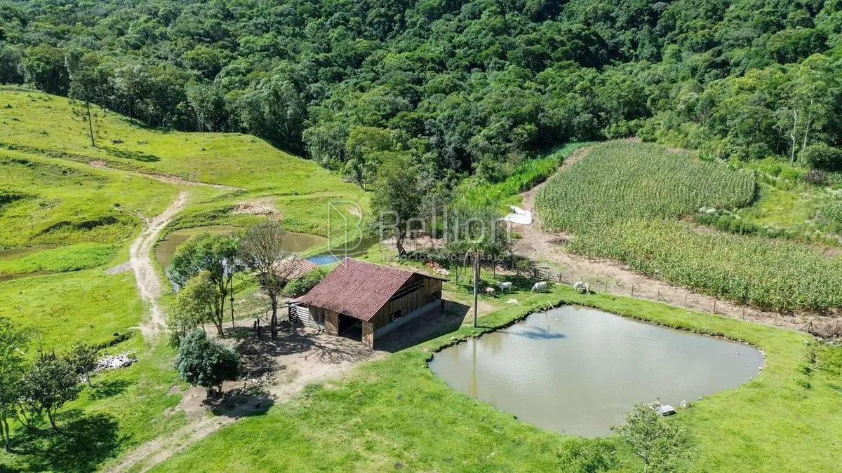 Imagem Sítio completo com lagoas, ribeirão e nascente em Rio dos Cedros