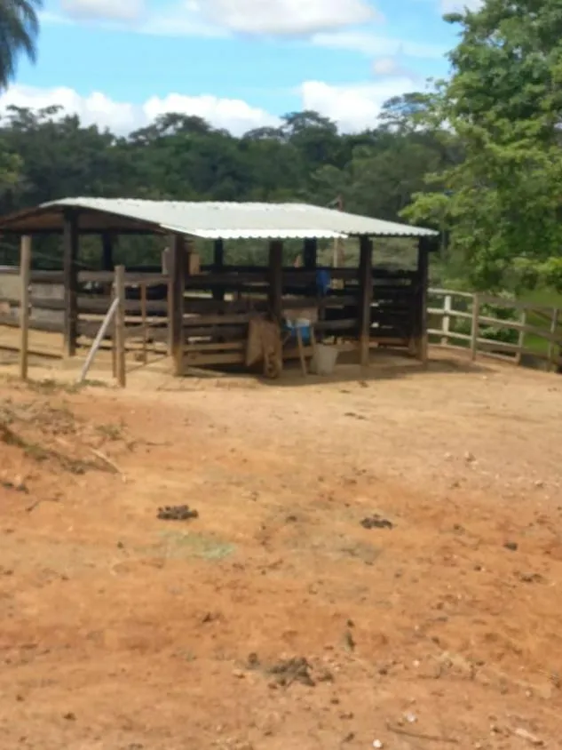Imagem endo um belíssimo sítio região serra do cipó com 33.900 m² de terra