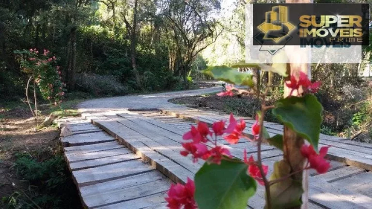 Chácara 3 hectares para Venda na BR em Cascata Pelotas-RS