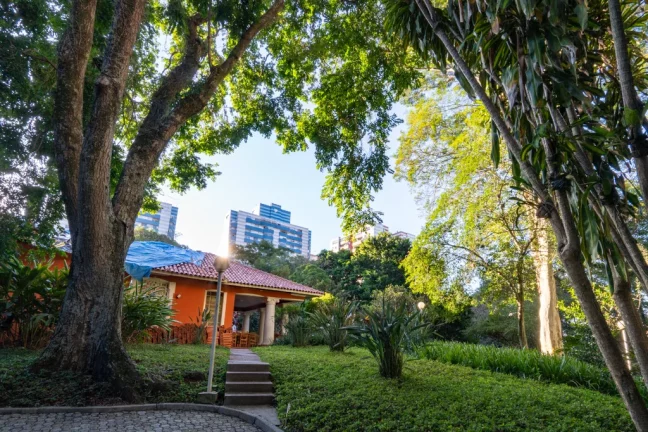 Imagem Apartamento à venda em São Paulo, Vila Morse, com 4 quartos, 225m2