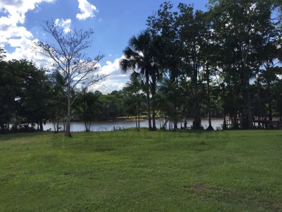 Imagem CASAL IMÓVEIS VENDE FAZENDA SÃO DOMINGOS DO CAPIM 400 HECTARES