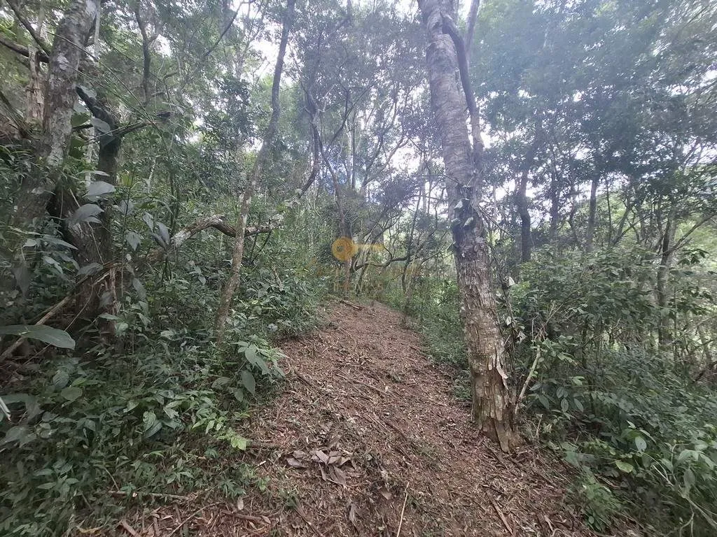 Imagem Terreno para Venda em Teresópolis / RJ no bairro Córrego das Pedras
