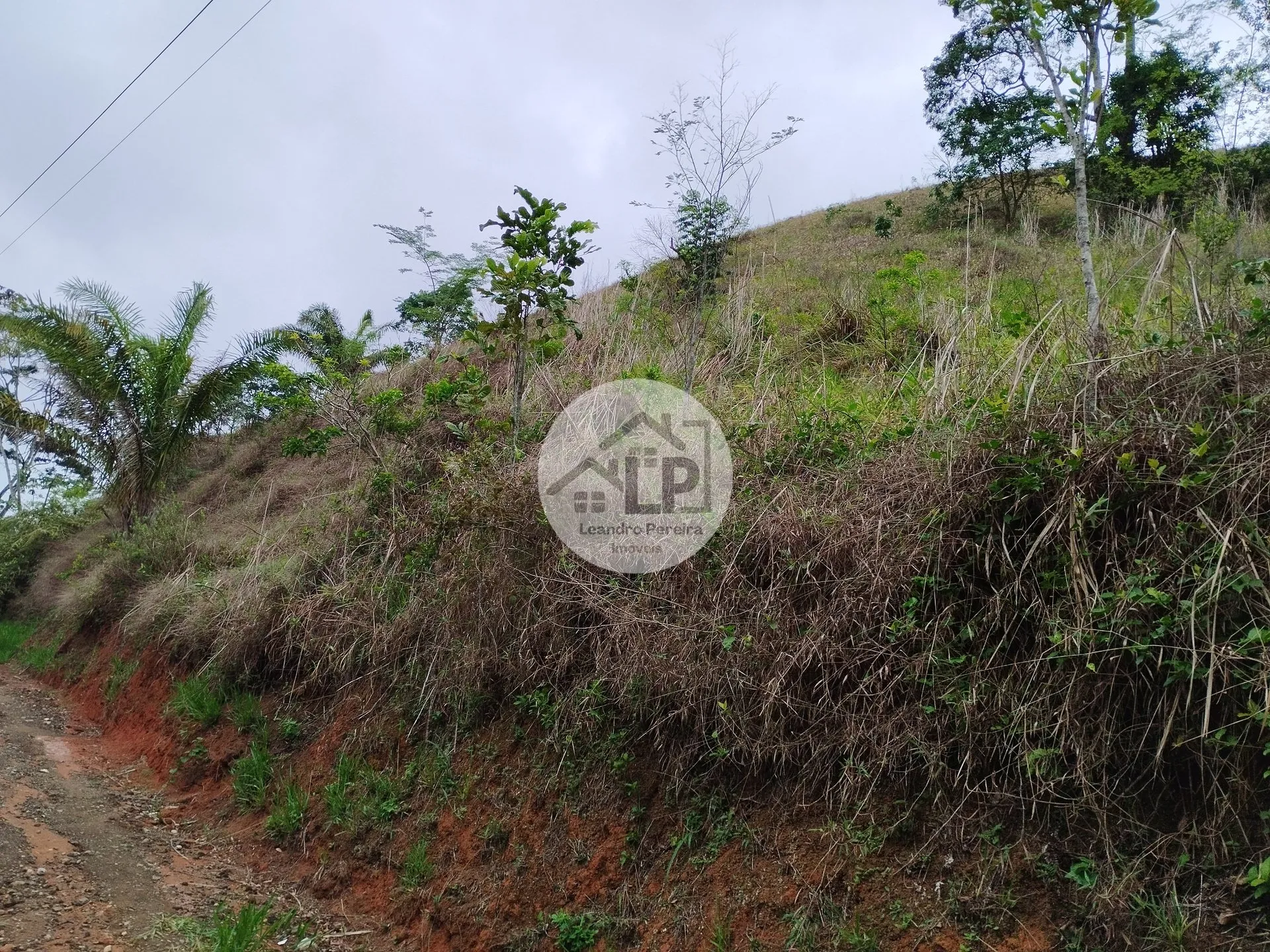 Imagem Lote/Terreno de 1440m² no bairro Caiçara, em Piraí
