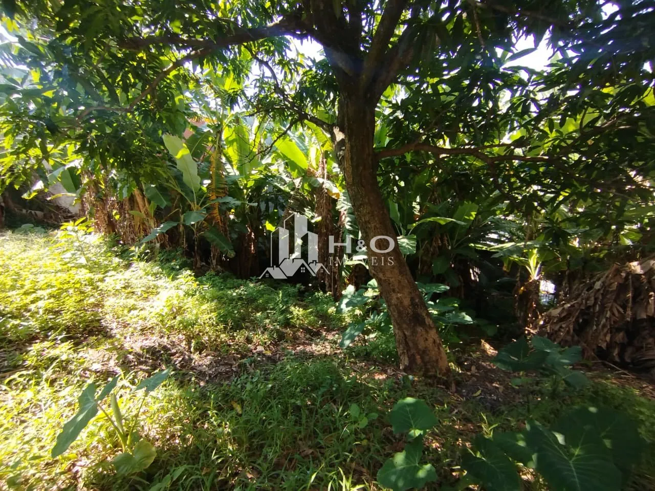 Imagem Excelente oportunidade em Ermelino Matarazzo!
