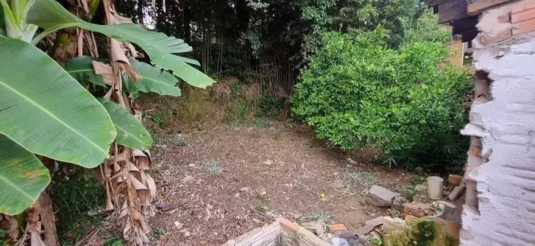 Imagem Casa com 3 quartos, 300m², à venda em Viamão, Cecília