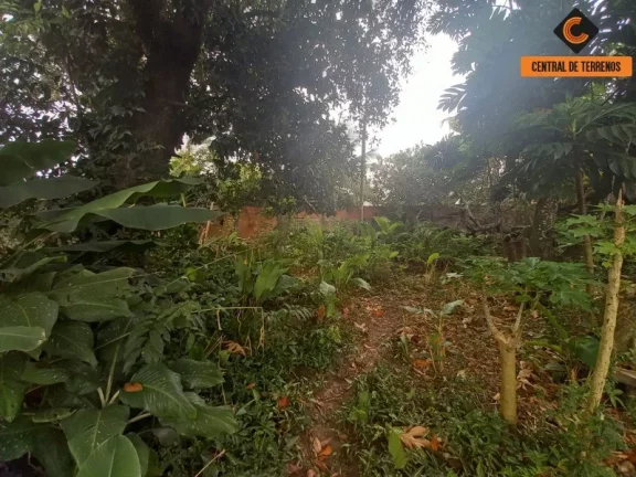 Imagem TERRENO PRÓXIMO AO SALVADOR NORTE SHOPPING