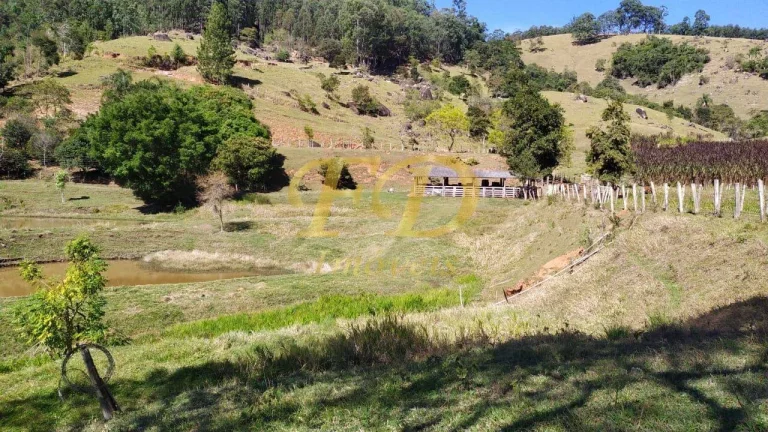 Imagem Fazenda em Piracaia