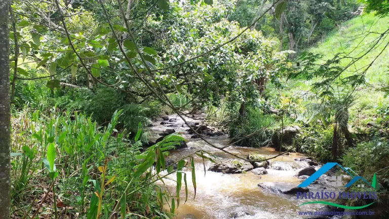 Imagem Paraíso Ecológico: Terreno com Nascente Própria e Vista Panorâmica.