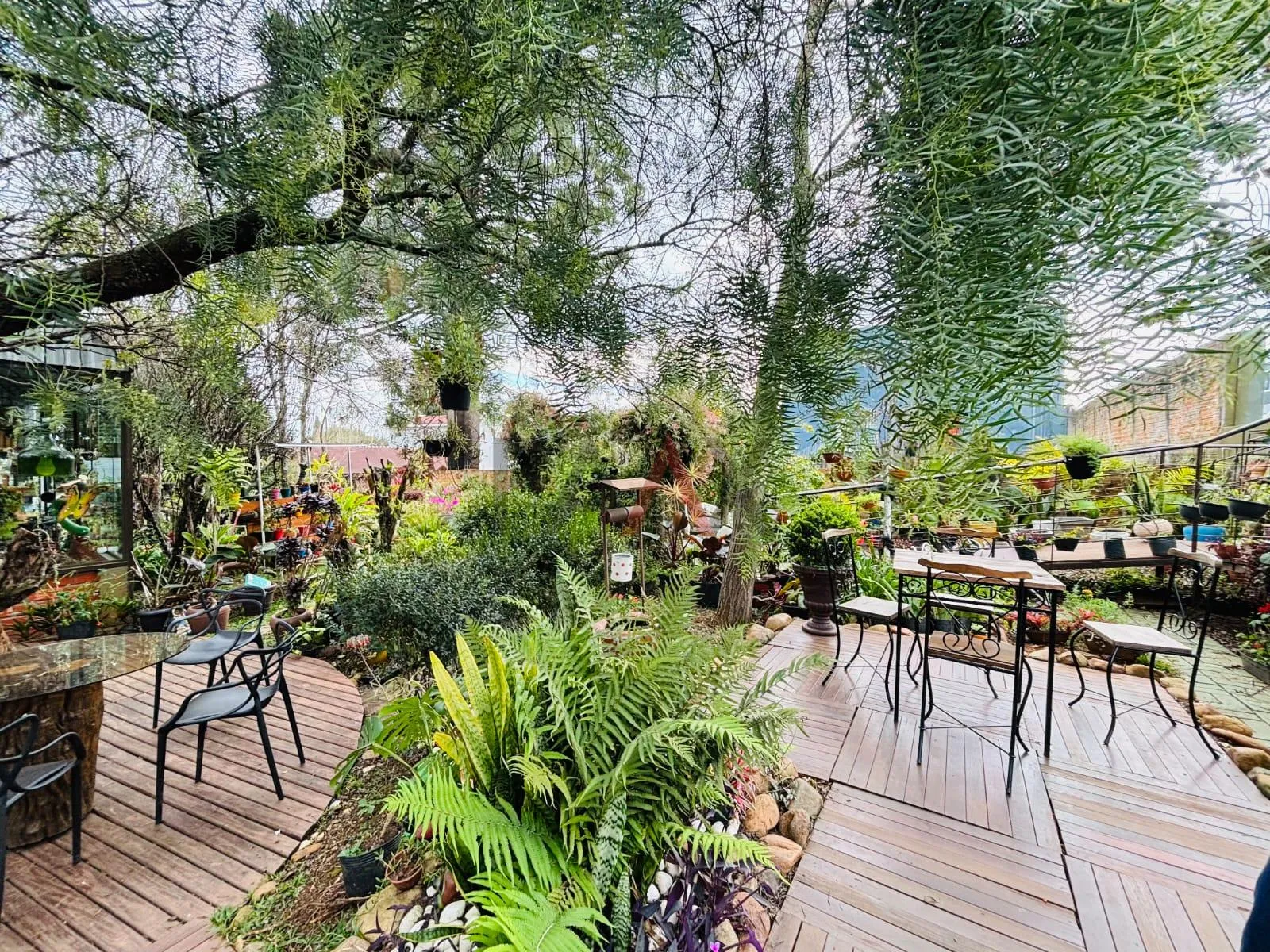 Imagem Sala Comercial para locação,648.46 m², CENTRO - Gpva, GUARAPUAVA - PR