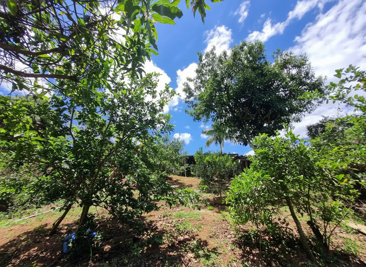 Imagem Chácara 80 m² à venda em Cruzeiro da Serra, Poços de Caldas
