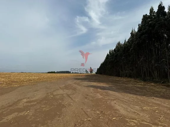 Imagem Vendo excelente Fazenda com 70 alqueires ,no Alto da Serra, Brotas - SP