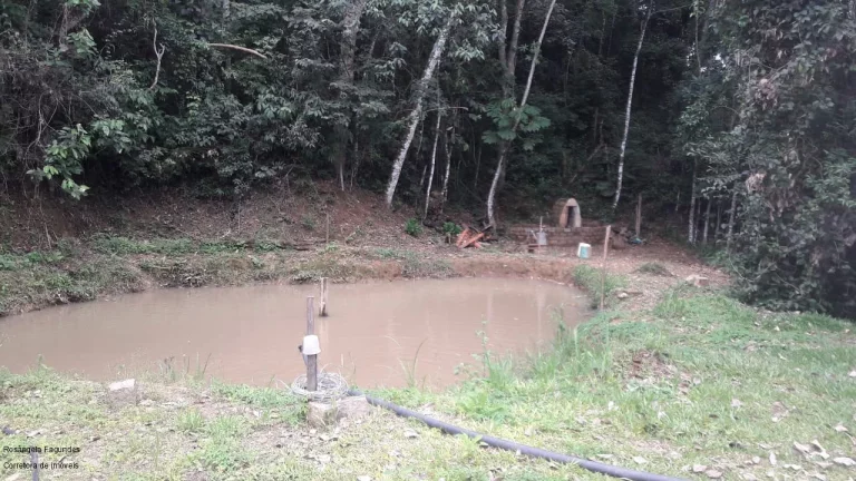 Imagem SITIO RURAL em CALDAS - MG, LARANJEIRAS DE CALDAS