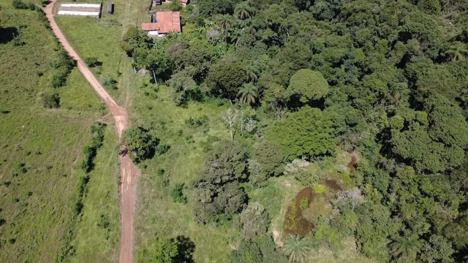 Imagem TERRENO À VENDA EM ITAGUARA / mg 30 HECTARES DE TERRA