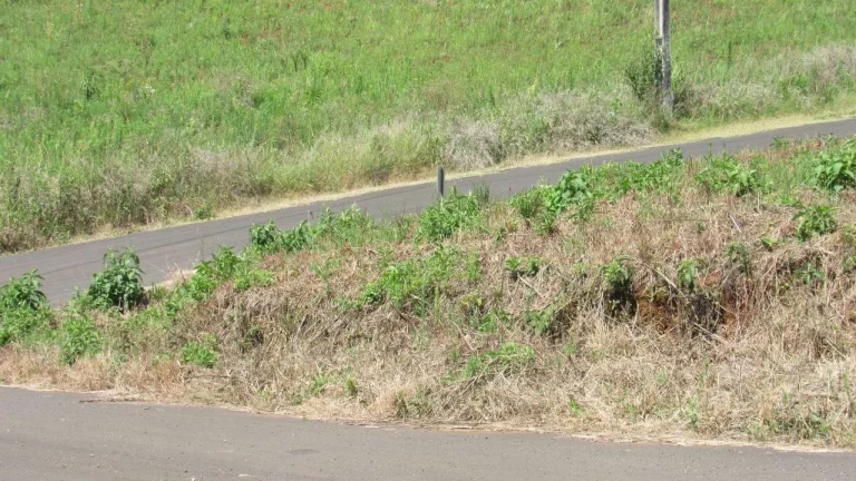 Imagem Terreno para Venda em Concórdia, Rural