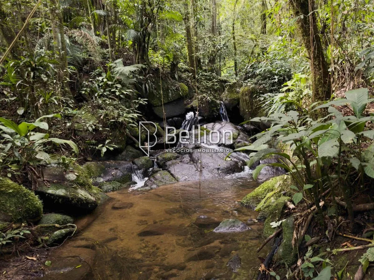Imagem Mais de 6 hectares para quem pensa no próximo passo, terreno em Ribeirão Coração, Benedito Novo.