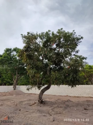 Imagem Terreno a Venda no bairro Alto da Estrela - Horizonte, CE