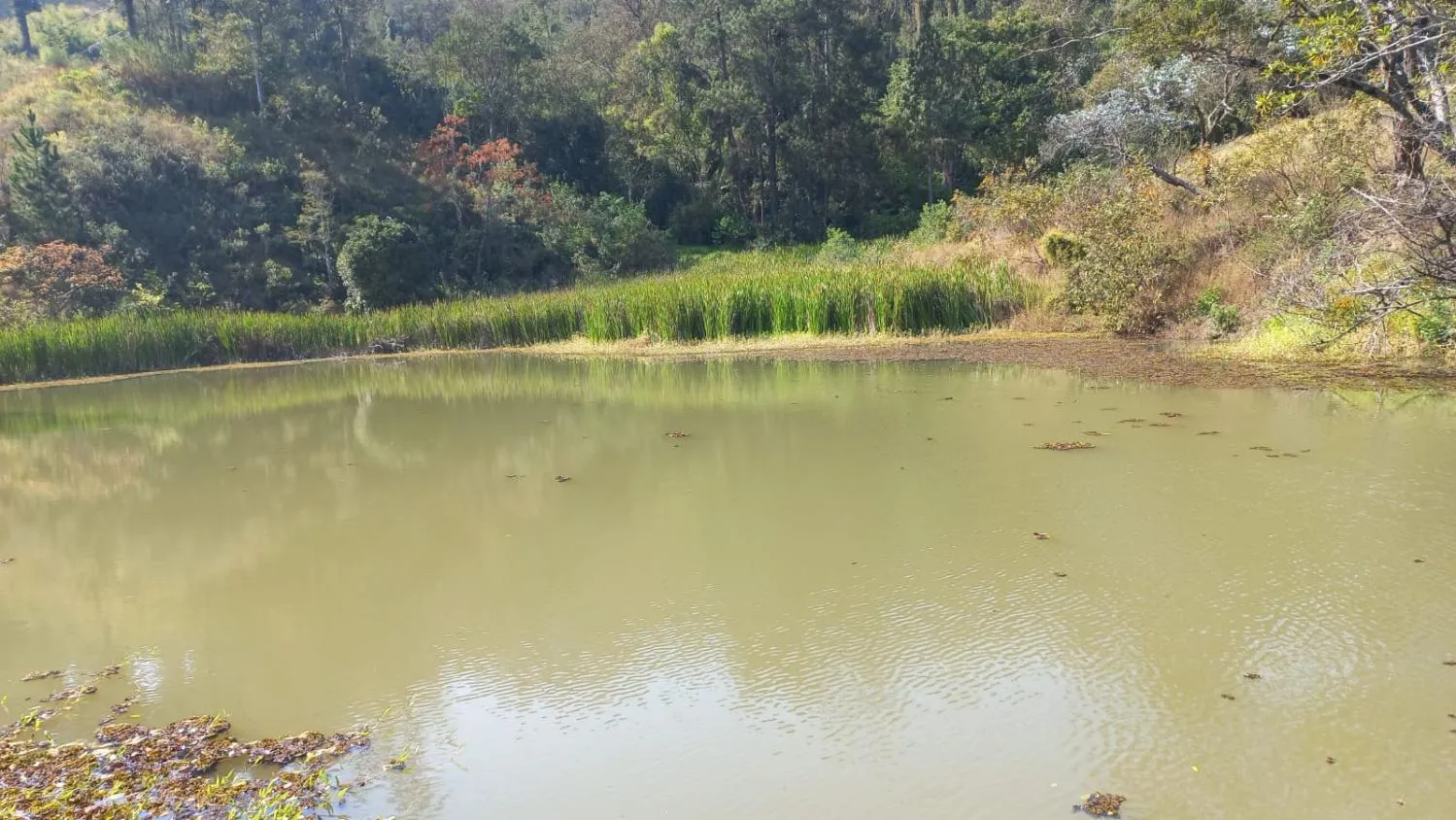 Imagem SITIO - JOANOPOLIS