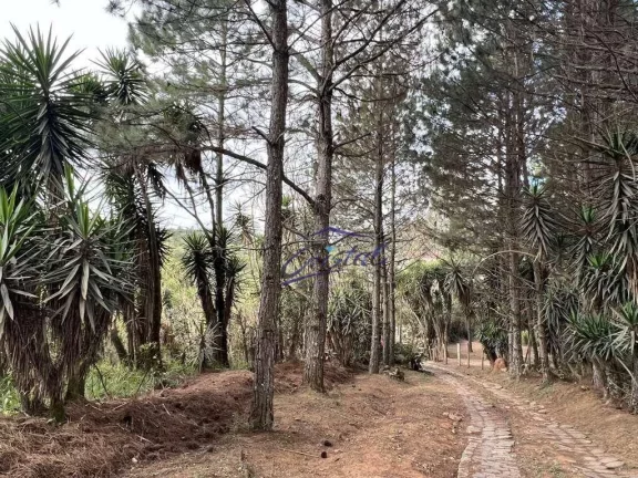 Imagem Excelente Área para Incorporação ou Chácara 18.455 m²