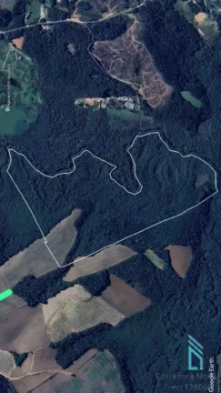 Imagem Área com 10 alqueires divisa com Rio Verde em Campo Largo - PR