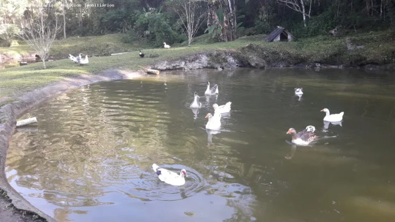 Sítio para Venda em Juquitiba, Juquitiba, 4 dormitórios, 1 suíte, 2 banheiros, 4 vagas