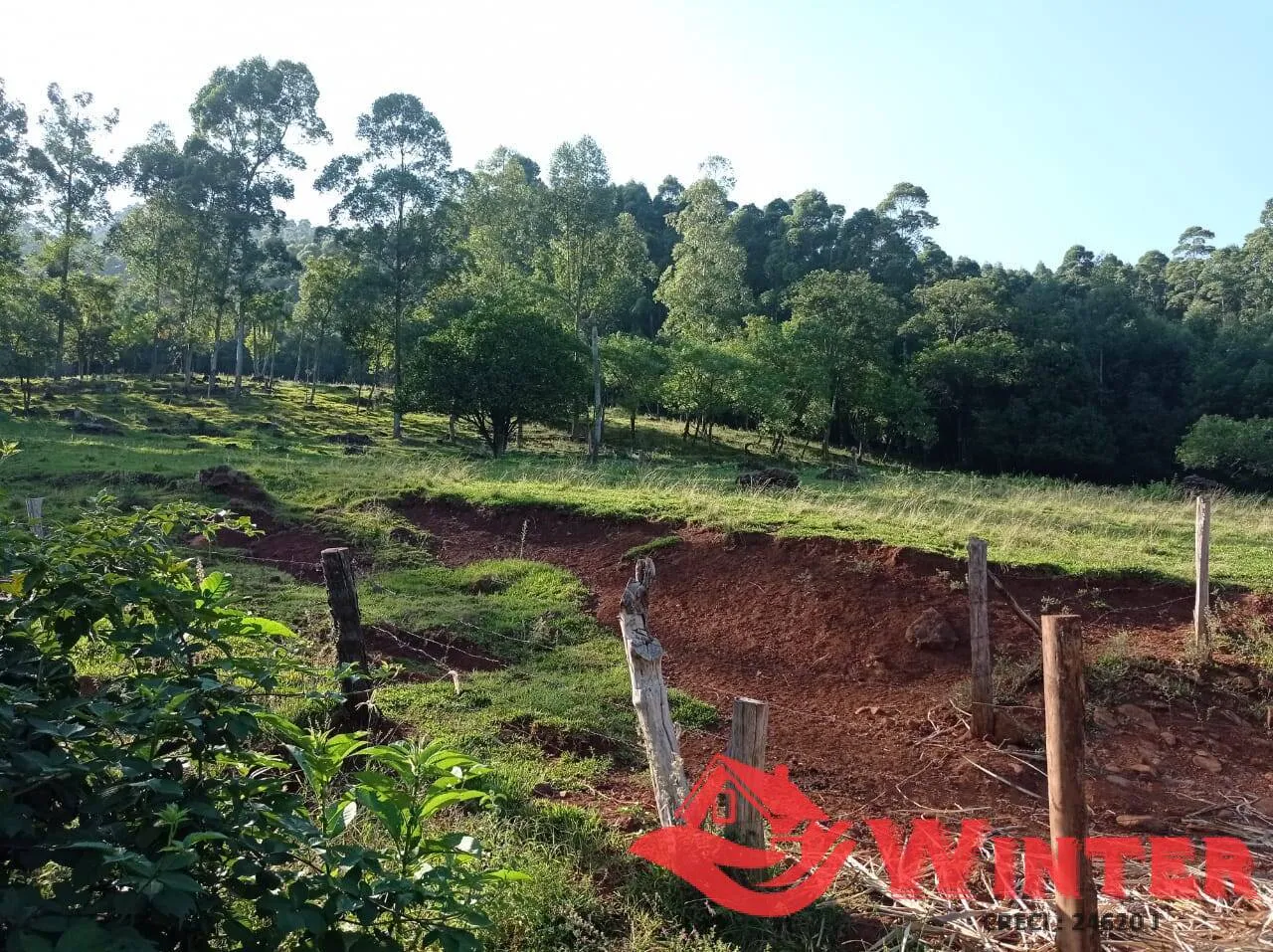 Imagem Chácara com 96.972,00m² em Morro Gaúcho, Alto Feliz.