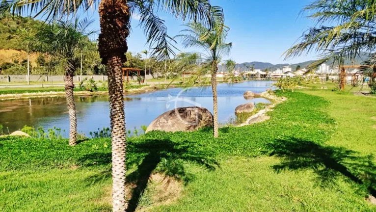 Imagem ELE É UM VERDADEIRO PARAISO