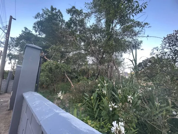 Imagem Area de 4mil m2 - Em Bombinhas