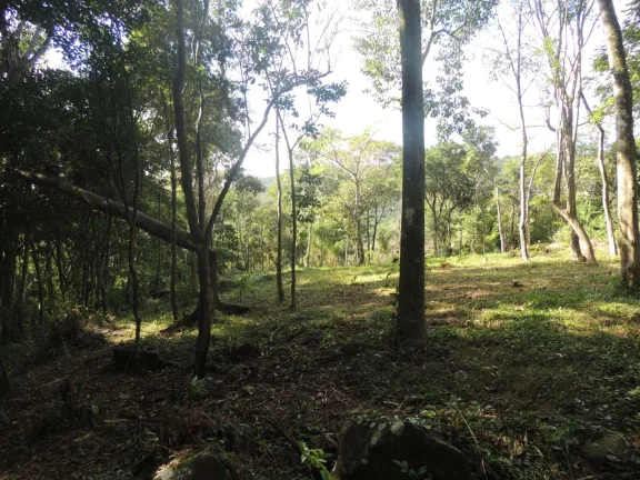 Imagem Terreno Espaçoso em Macacu, Garopaba-SC: 20 mil m², Vista para Lagoa e Mar
