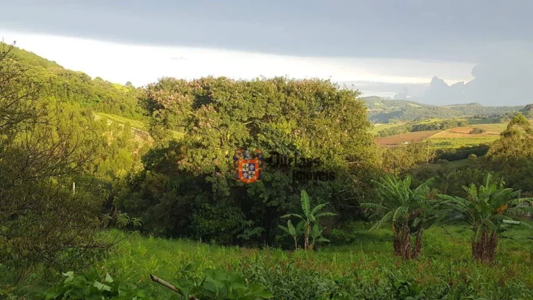 Imagem Chácara com 1 dormitório à venda, 12750 m² por R$ 750.000,00 - Toledo - Toledo/MG