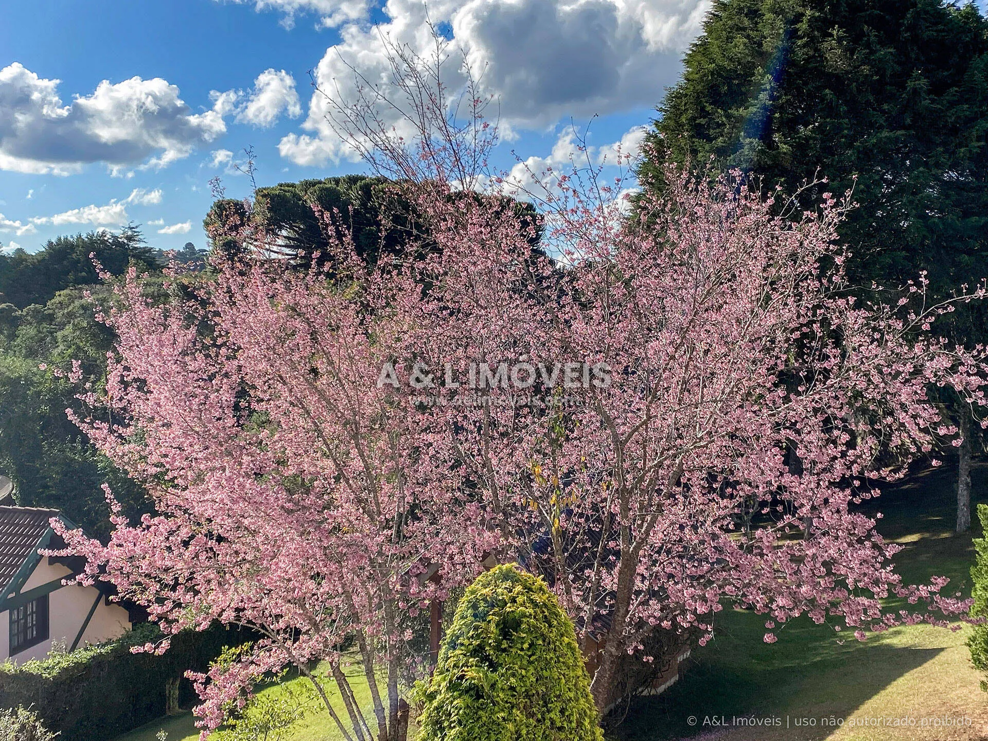 Imagem Casa à venda em Campos do Jordão | 417,26 m² | 5 dormitórios