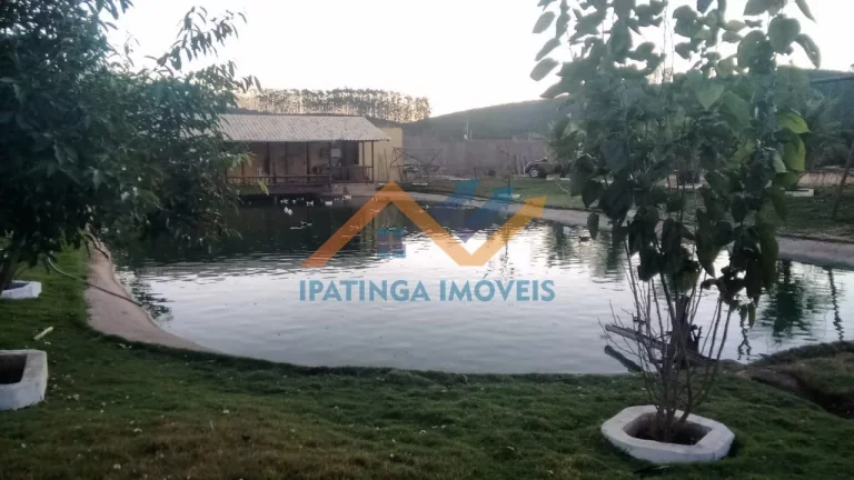 Imagem Chácara de 5.000m² em Bom Jesus do Galho