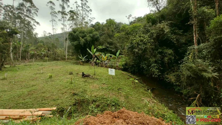 Imagem VENHA CONHECER O PARAÍSO NOVA TRENTINO! SÍTIO RECANDO DA ESPERANÇA Você está em busca de um refúgio tranquilo, próximo à natureza