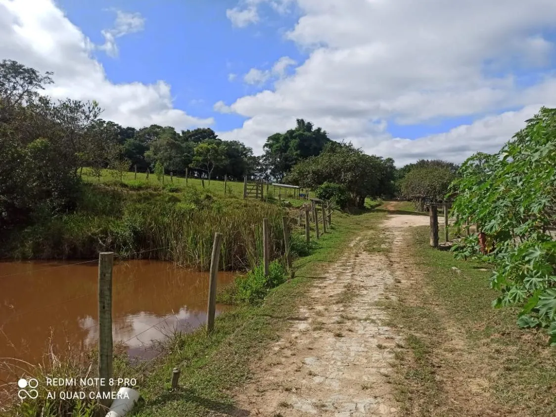 Imagem Vendo uma fazenda de 138 hectares em Passatempo/MG,