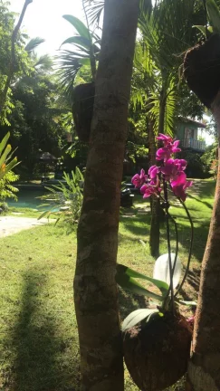 Imagem CASA REFÚGIO TROPICAL À BEIRA-MAR